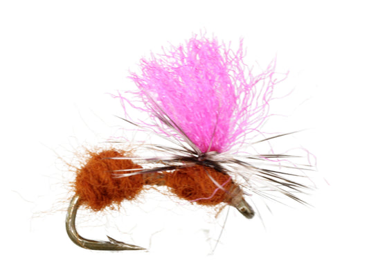 Mobile Ant, Size 14 | Qty. 6 | Wild Water Fly Fishing