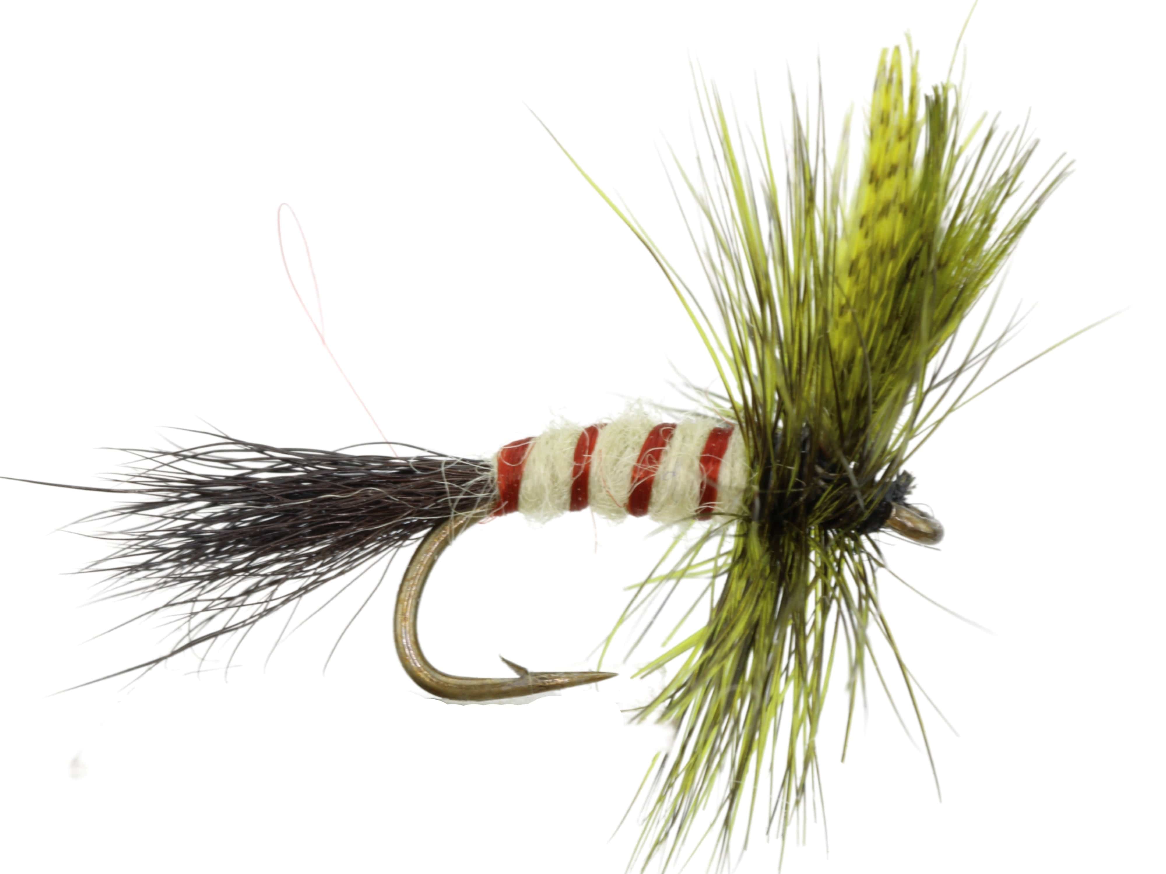 Eastern Drake Patterns Eastern Drake, Size 12 | Olive | Qty. 6 | Wild Water Fly Fishing ...