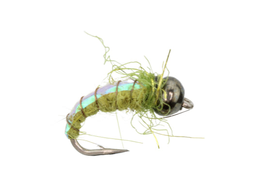 Olive Electric Caddis Fly Tying Material Kit, size 16 | Wild Water Fly Fishing