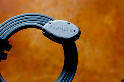 PAKMULE Cinch Lock