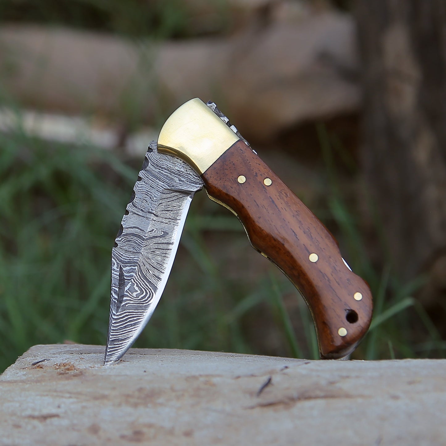 Jaguar Pocket Knife with Exotic Rosewood Handle