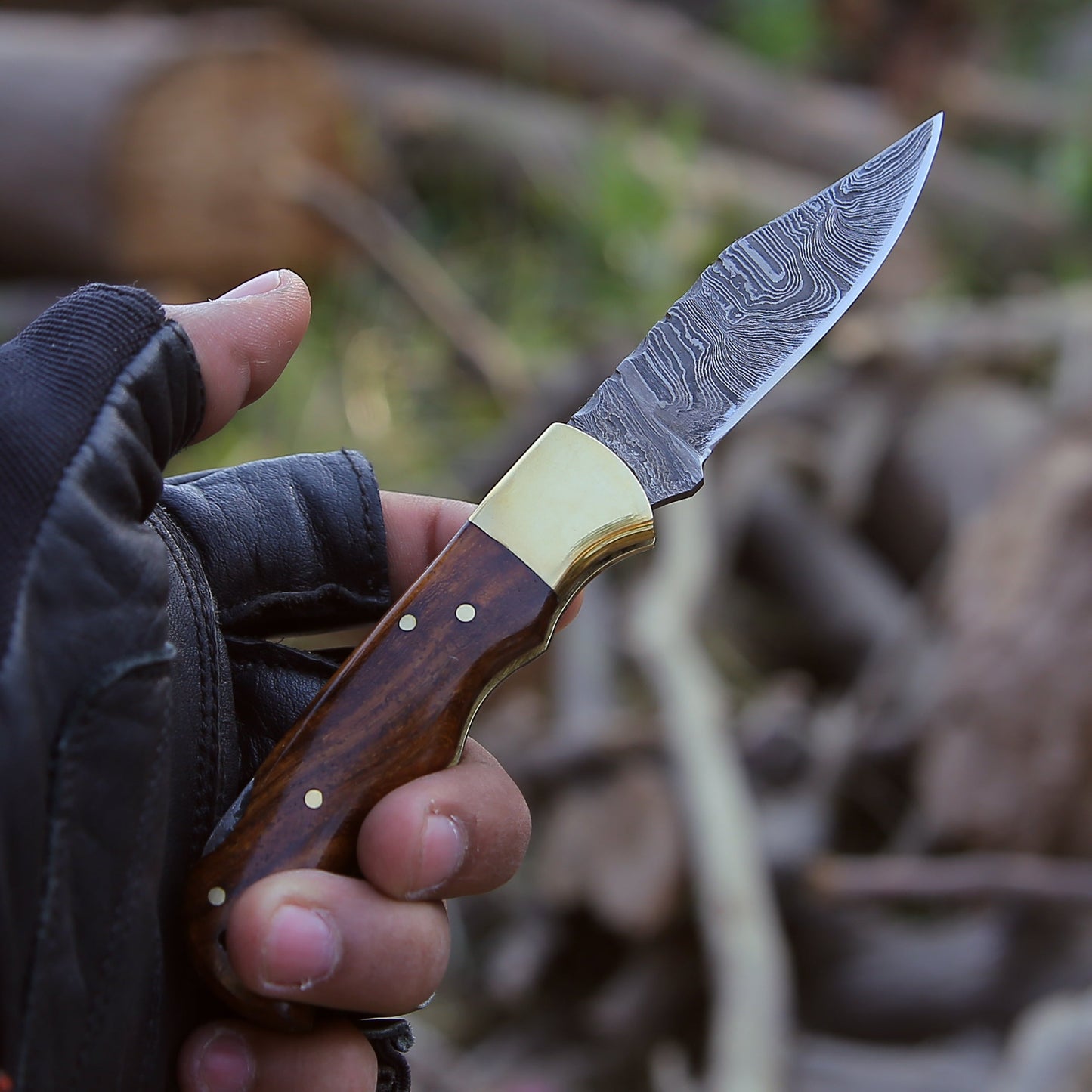 Jaguar Pocket Knife with Exotic Rosewood Handle