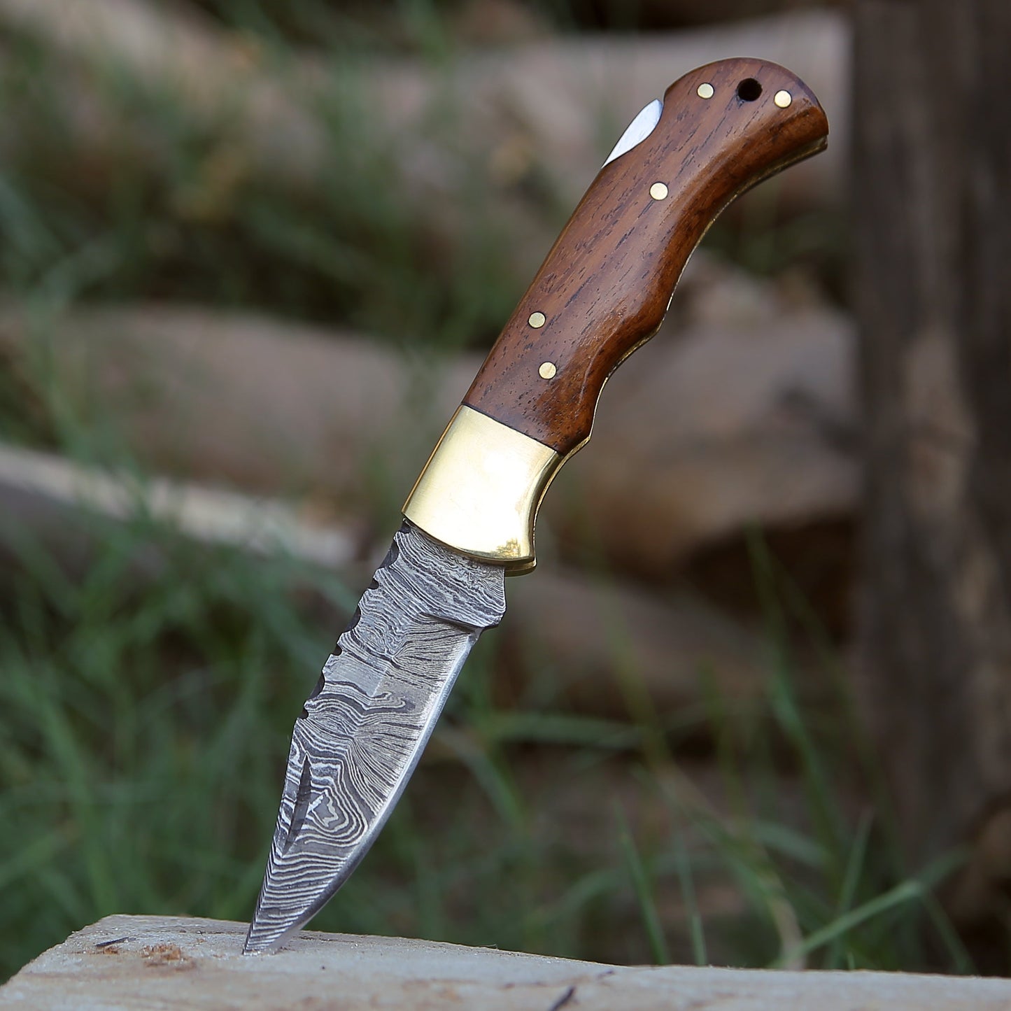 Jaguar Pocket Knife with Exotic Rosewood Handle