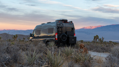 Rover Vans Tire Carrier & Ladder Combo for Ram ProMaster