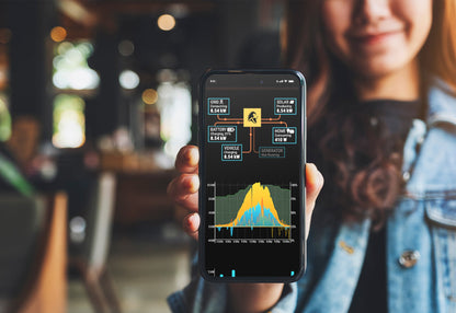 Lion Energy Sanctuary 3 Home Backup Power