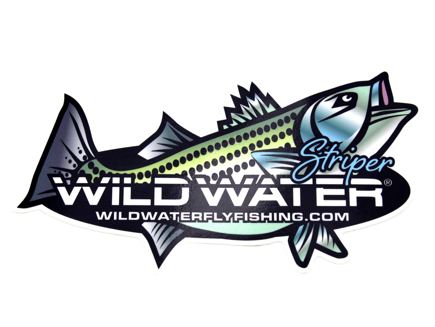 Striper Sticker | Wild Water Fly Fishing