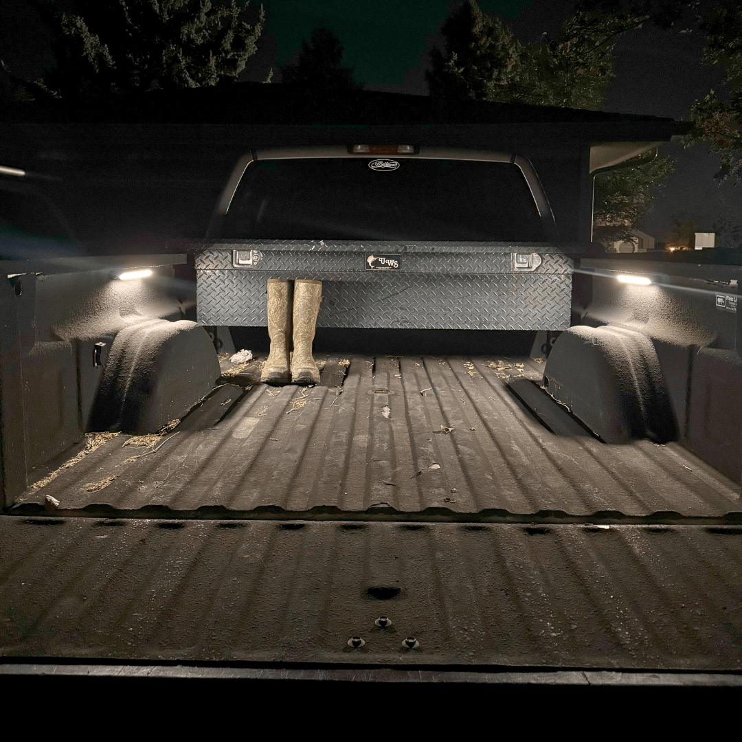 Garmin PowerSwitch + Kingpin Scene Lighting