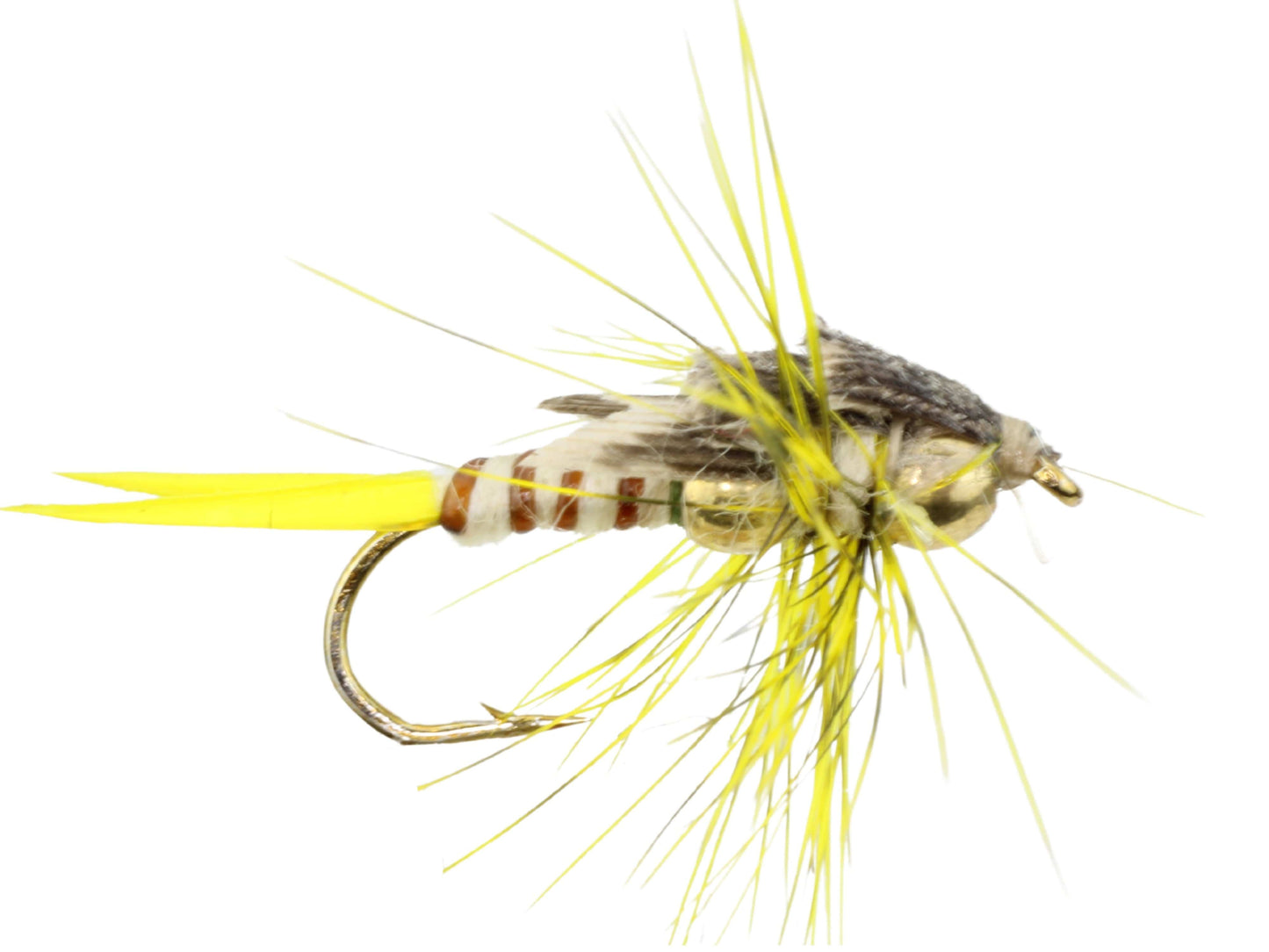 Beaded Stonefly, size 12 | Yellow | Qty. 6 | Wild Water Fly Fishing