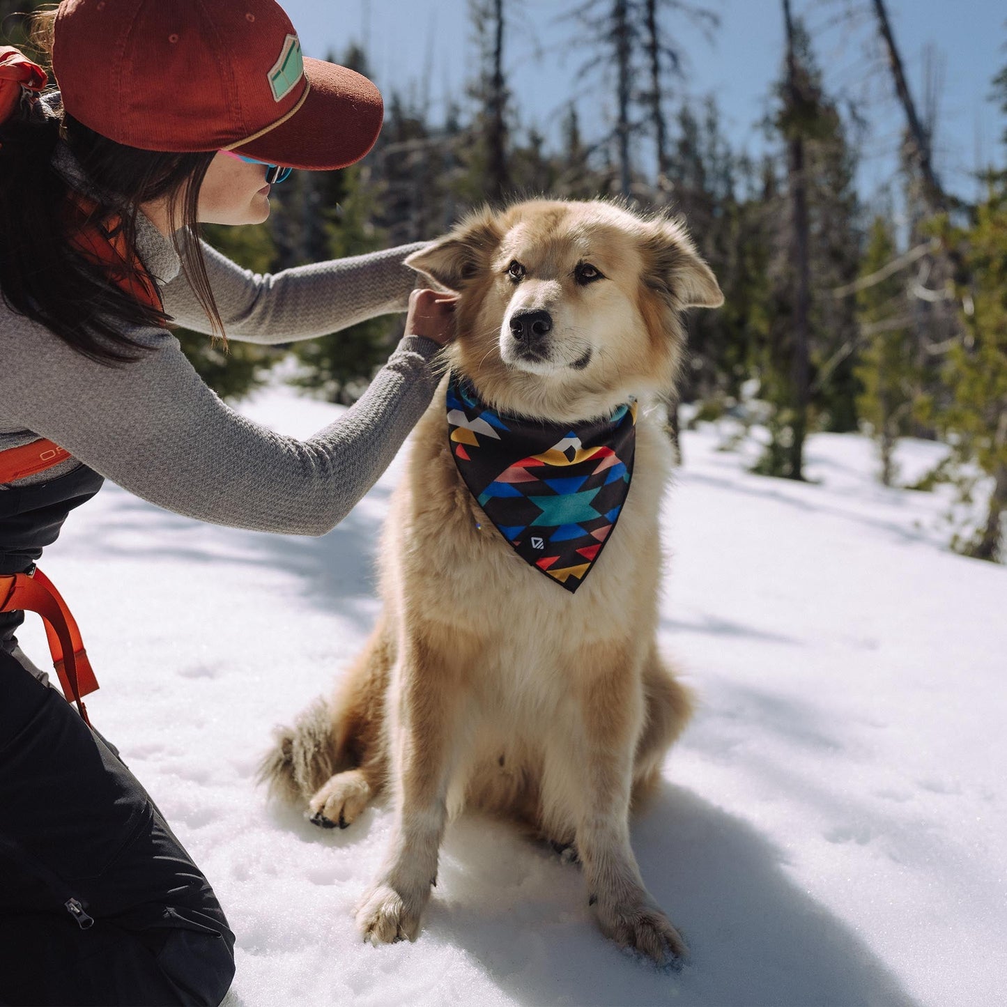 Bandana Towel: Cascades Multi