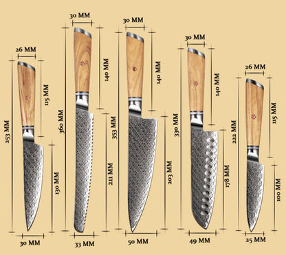 Jasmine Knife Set 5 Piece VG10 Damascus Steel Japanese Professional Chef knife Set.