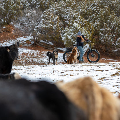 Mule Step-Through (ST) 24"