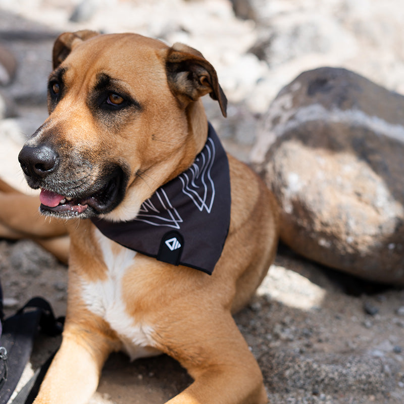 Bandana Towel: Rambler Black