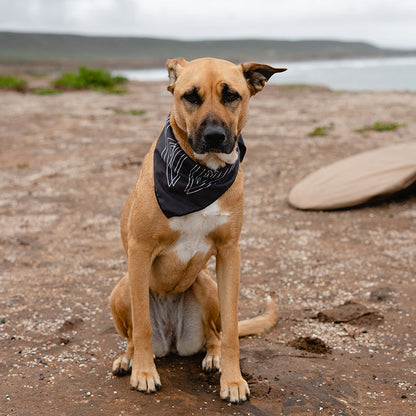 Bandana Towel: Rambler Black