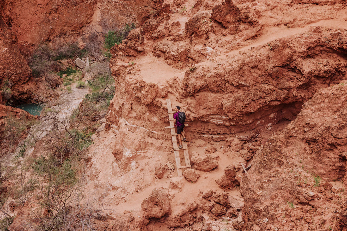 Tarana Recycled Backpack Cooler