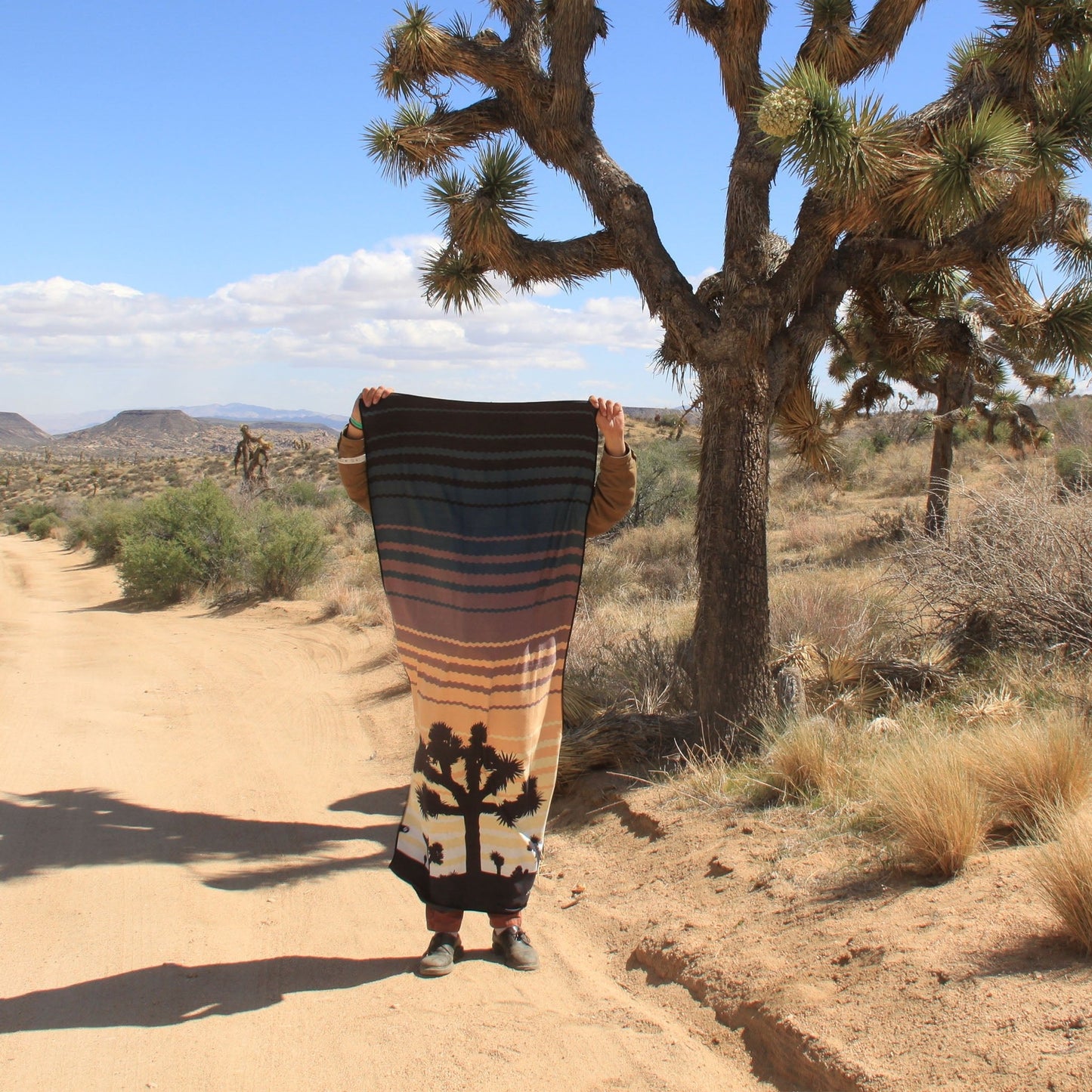 Original Towel: Joshua Tree National Park