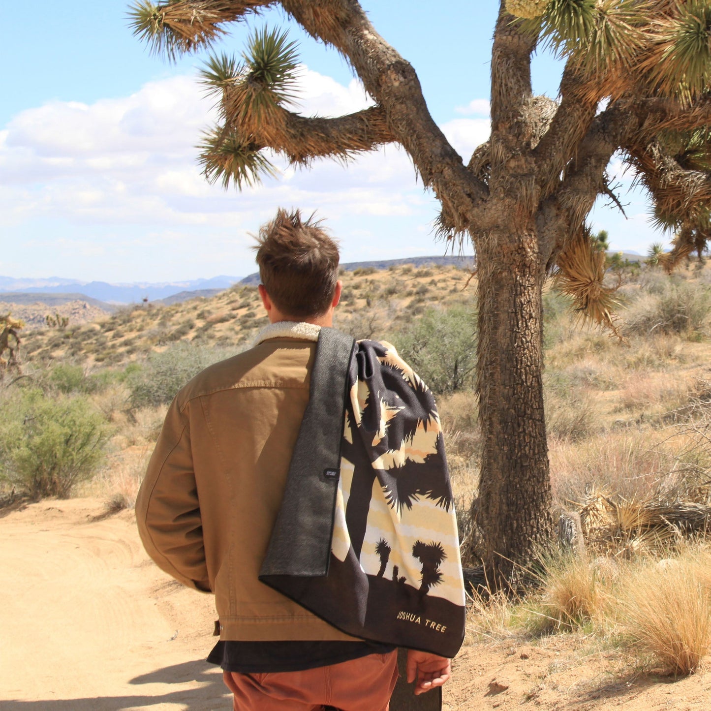 Original Towel: Joshua Tree National Park
