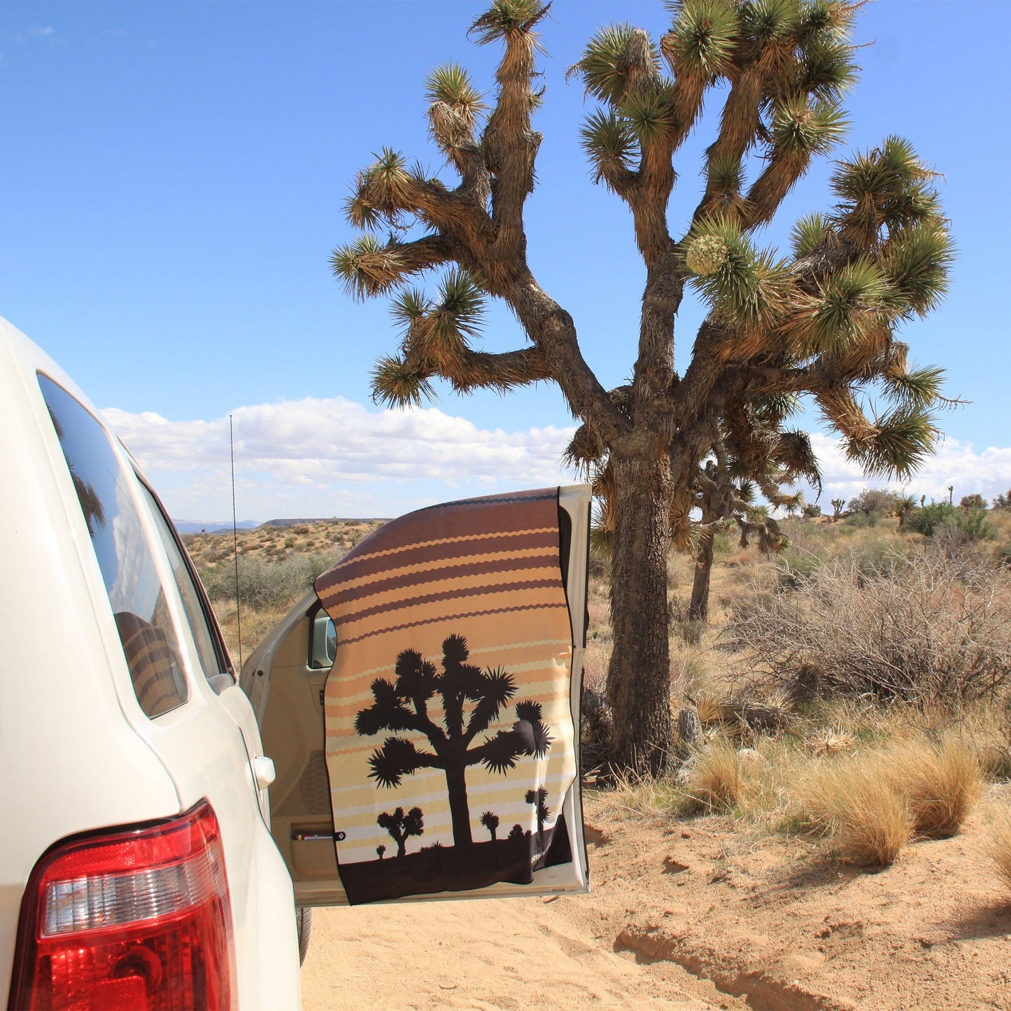 Original Towel: Joshua Tree National Park