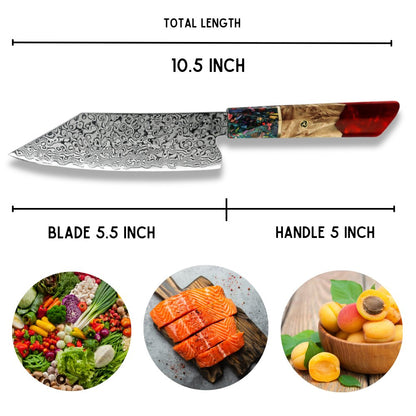 Pristine VG10 Chef Knife 10.5" with Exotic Olive Wood & Resin Handle