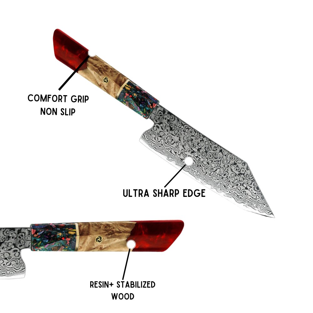 Pristine VG10 Chef Knife 10.5" with Exotic Olive Wood & Resin Handle