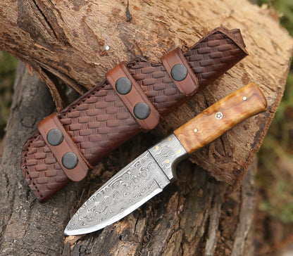 Quantum Camp Knife with Olive Wood Handle