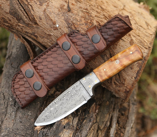 Quantum Camp Knife with Olive Wood Handle