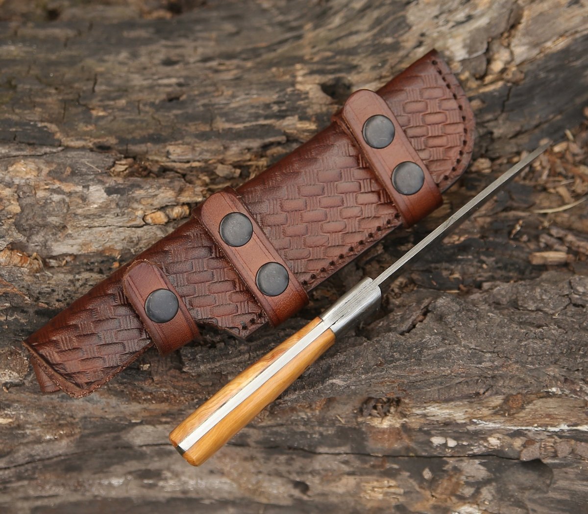 Quantum Camp Knife with Olive Wood Handle