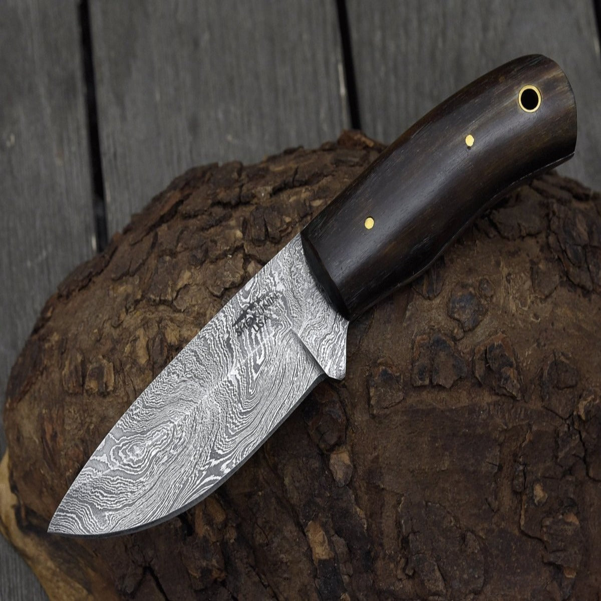 Resonance Every Day Carry Knife with Ram Horn Handle