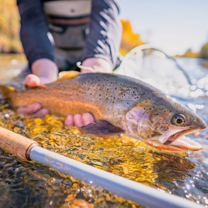 Rocky Tenkara Rod