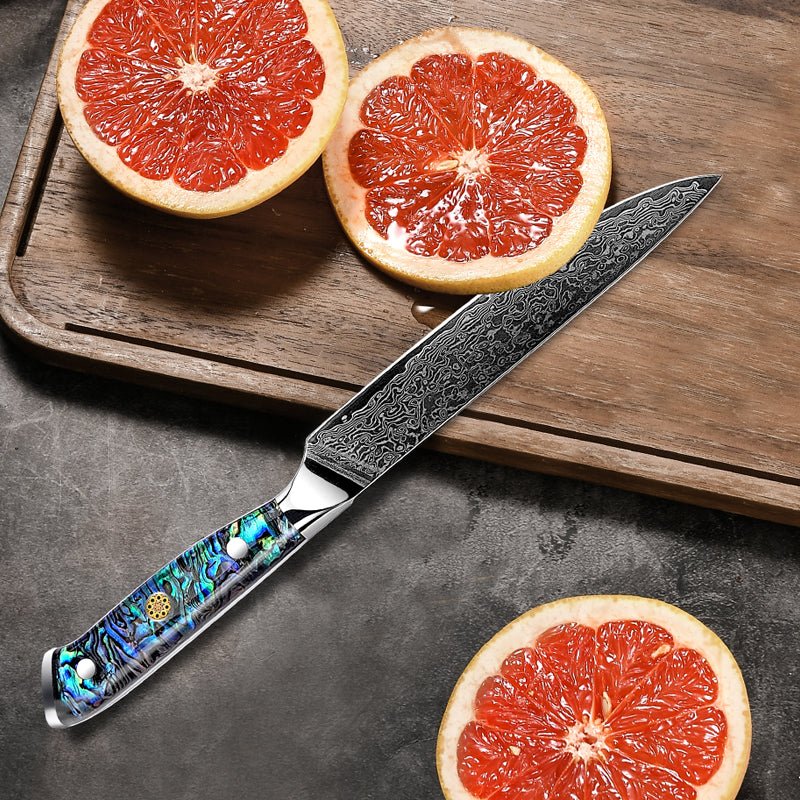 Ronin VG10 Kitchen knife Set - Damascus Steel & Abalone Shell Handle