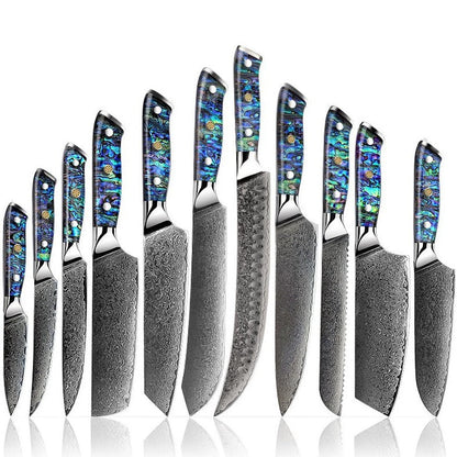 Ronin VG10 Kitchen knife Set - Damascus Steel & Abalone Shell Handle