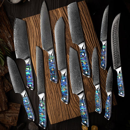 Ronin VG10 Kitchen knife Set - Damascus Steel & Abalone Shell Handle