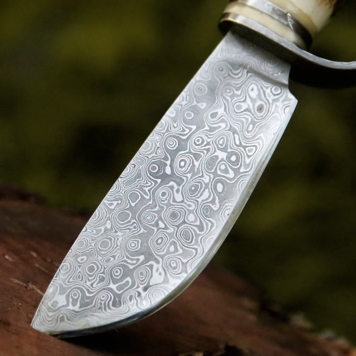 Serpent Damascus Hunting Knife with Antler Handle