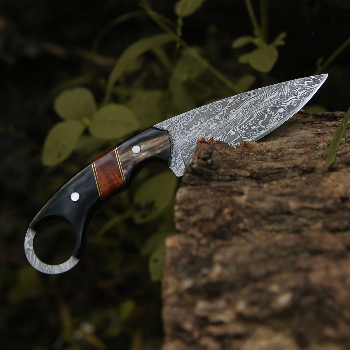 Shadow Damascus Knife with Horn & Exotic Rose Wood Handle