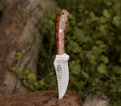 Spectral Field Dressing Knife with Olive Wood Handle