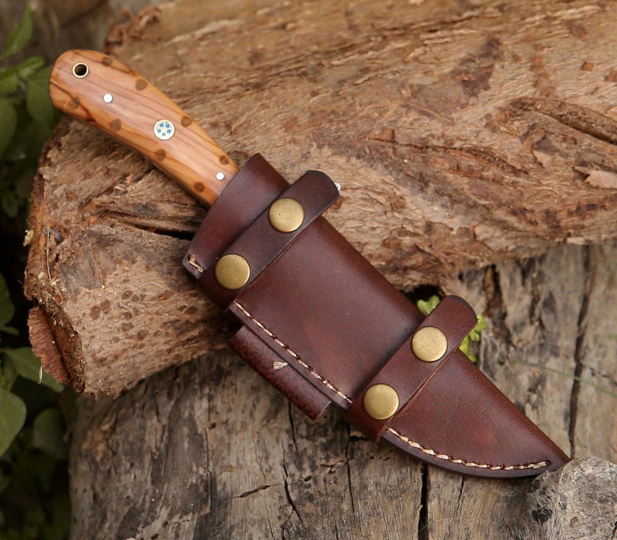 Spectral Field Dressing Knife with Olive Wood Handle