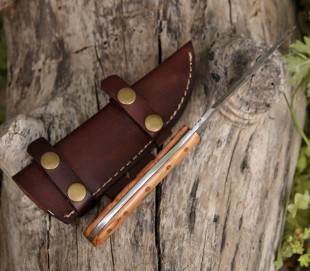 Spectral Field Dressing Knife with Olive Wood Handle Spectral Field Dressing Knife with Olive Wood Handle