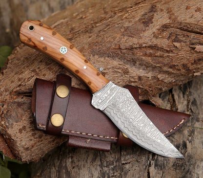 Spectral Field Dressing Knife with Olive Wood Handle