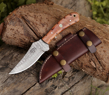Spectral Field Dressing Knife with Olive Wood Handle