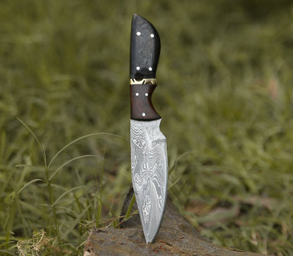 Trailseeker Every Day Carry Knife with Ram Horn & Rosewood Handle