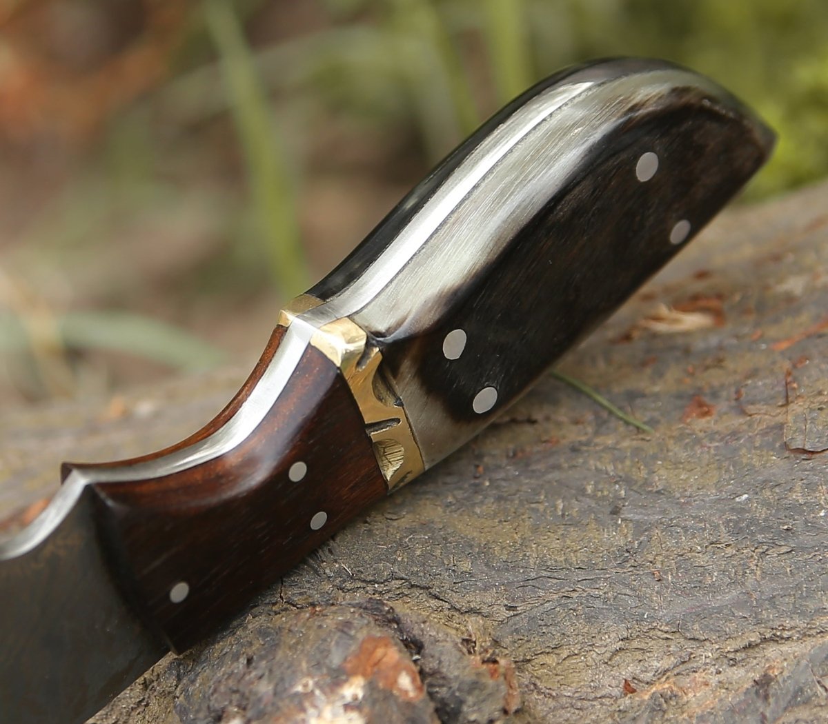 Trailseeker Every Day Carry Knife with Ram Horn & Rosewood Handle