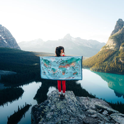 Ultralight Towel: World Map