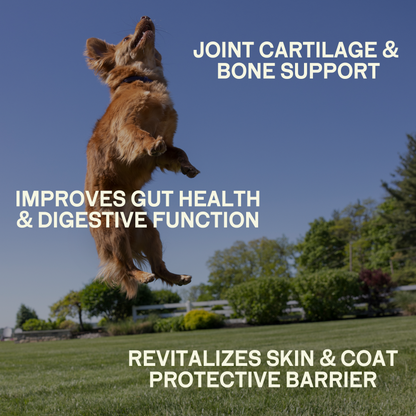 Happy Joints - Cartilage & Mobility Supplement