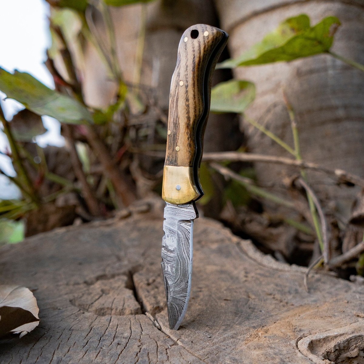 Vanguard Damascus Folding Knife with Charred Oak Handle