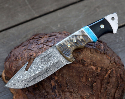 Vertex Damascus Gut Hook Knife with Ram Horn & Turquoise Handle
