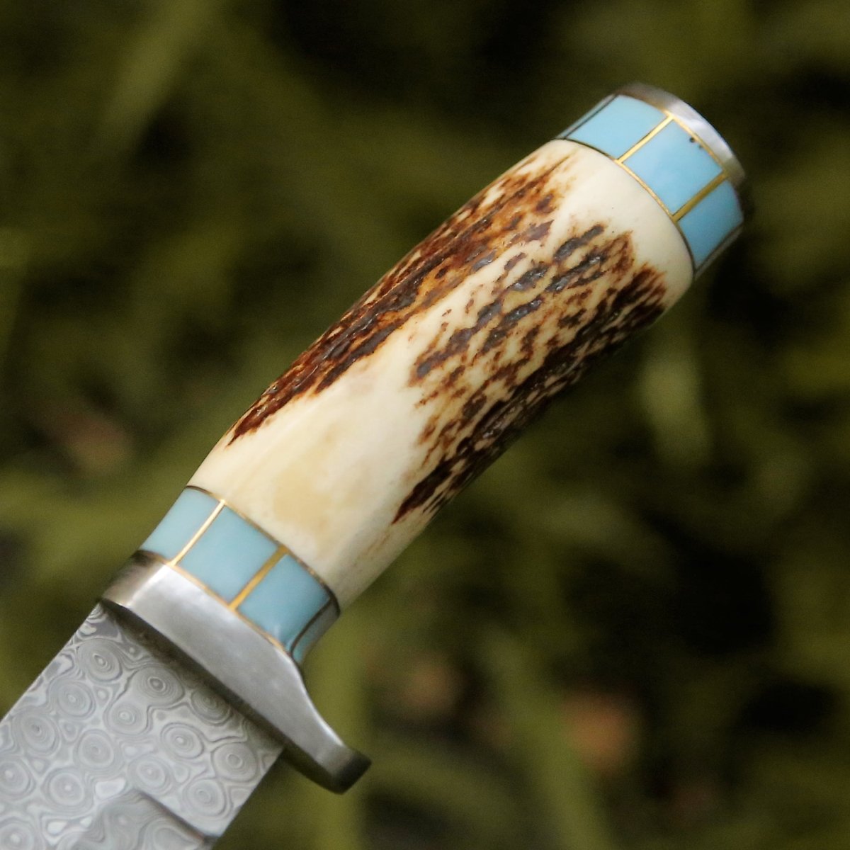 Viral Bull Nose Hunting Knife with Antler & Turquoise Handle