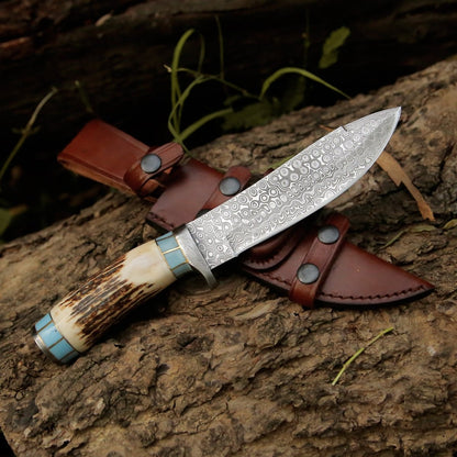 Viral Bull Nose Hunting Knife with Antler & Turquoise Handle