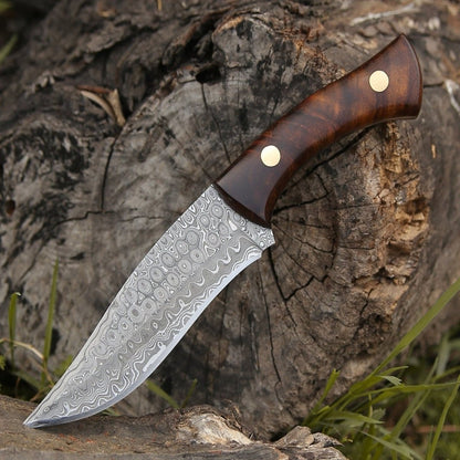 Virtue Damascus Hunting Knife Fixed Blade with Exotic Rose Wood Handle